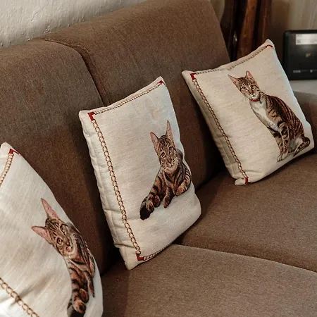 Διαμέρισμα Willow House By Quokka 360 - In The Heart Of